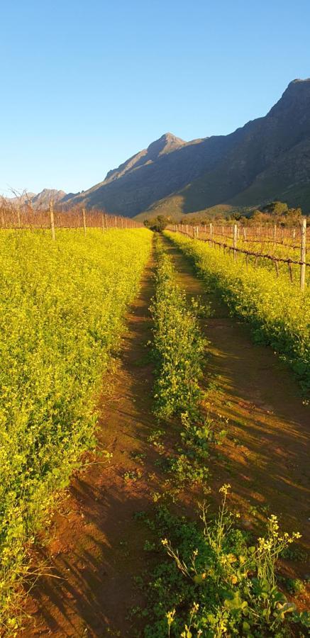 Sonklip Hotel Stellenbosch Luaran gambar