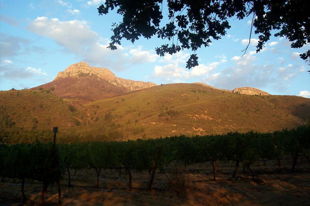 Sonklip Hotel Stellenbosch Luaran gambar