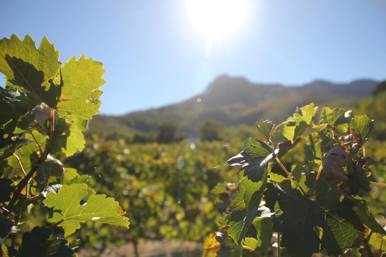 Sonklip Hotel Stellenbosch Luaran gambar