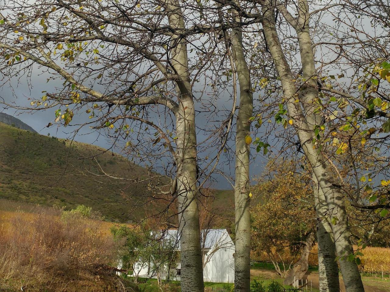 Sonklip Hotel Stellenbosch Luaran gambar