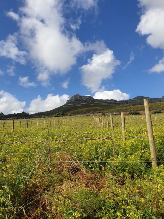 Sonklip Hotel Stellenbosch Bilik gambar